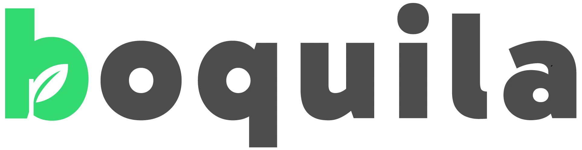 Boquila logo